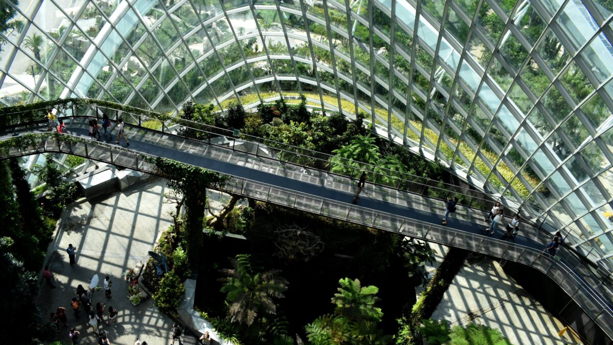 Ambiente, risparmio energetico e sostenibilità aziendale